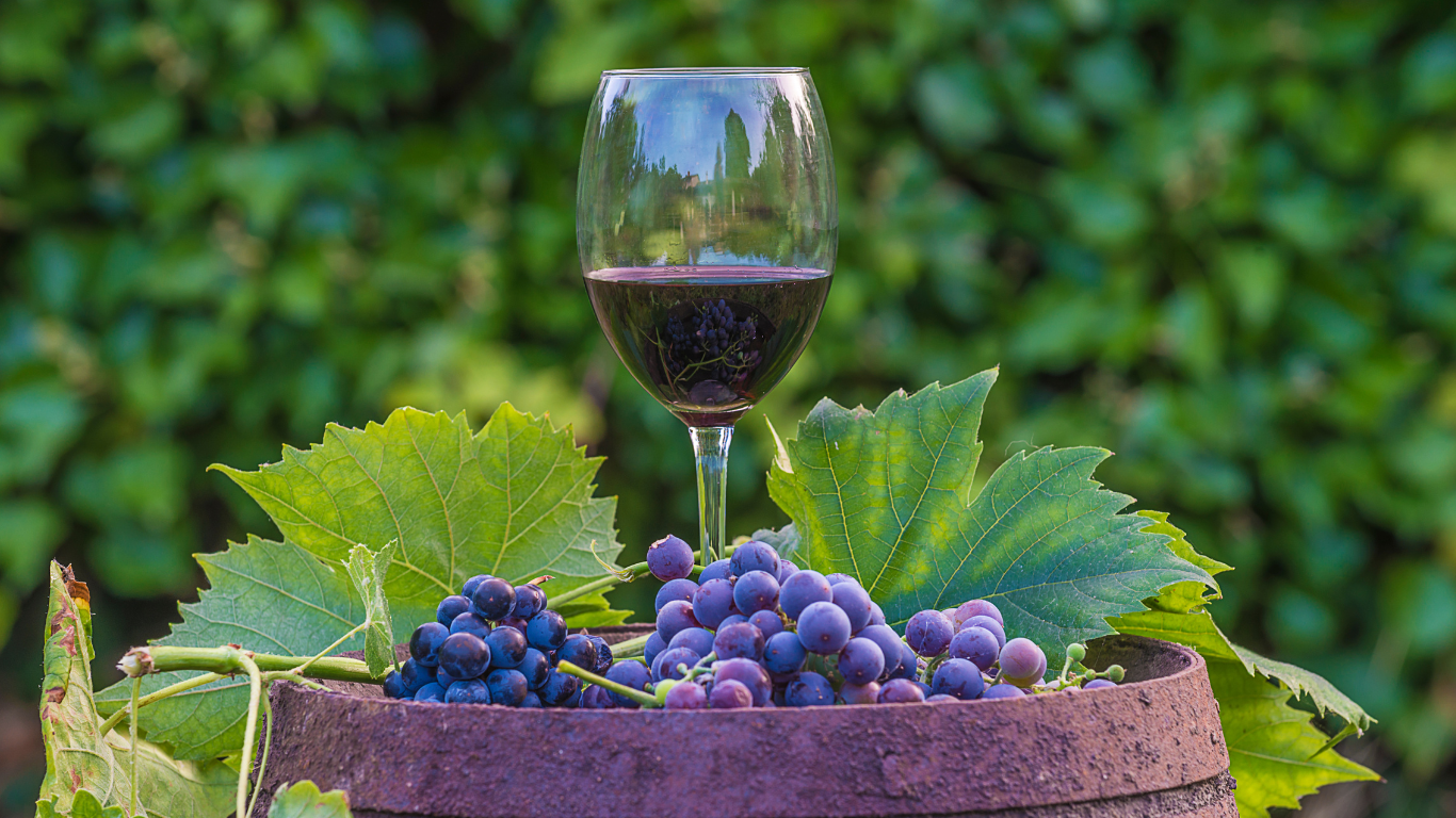 How to Make Wine from Grapes: A Comprehensive Guide.