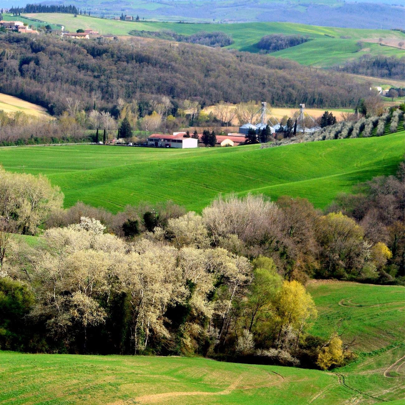 Agritourism Income.Alternative Methods of Making Money on the Farm.