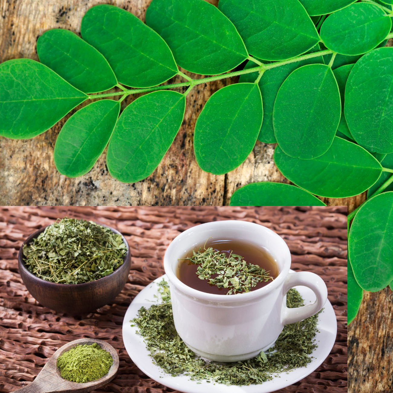 Moringa Leaves and Fasting Can Treat Cancer, Facts: