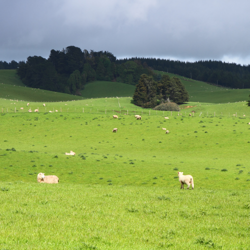 How to Restore Dead Soils for Planting Crops: A Comprehensive Guide.